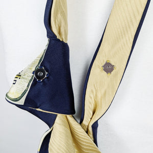 Double Necktie In Blue And Yellow With A Parisian Print
