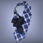 Load image into Gallery viewer, Men&#39;s Ascot In Blue And Navy.
