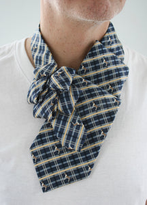 Men's Ascot In Blue Plaid With Dog Print.