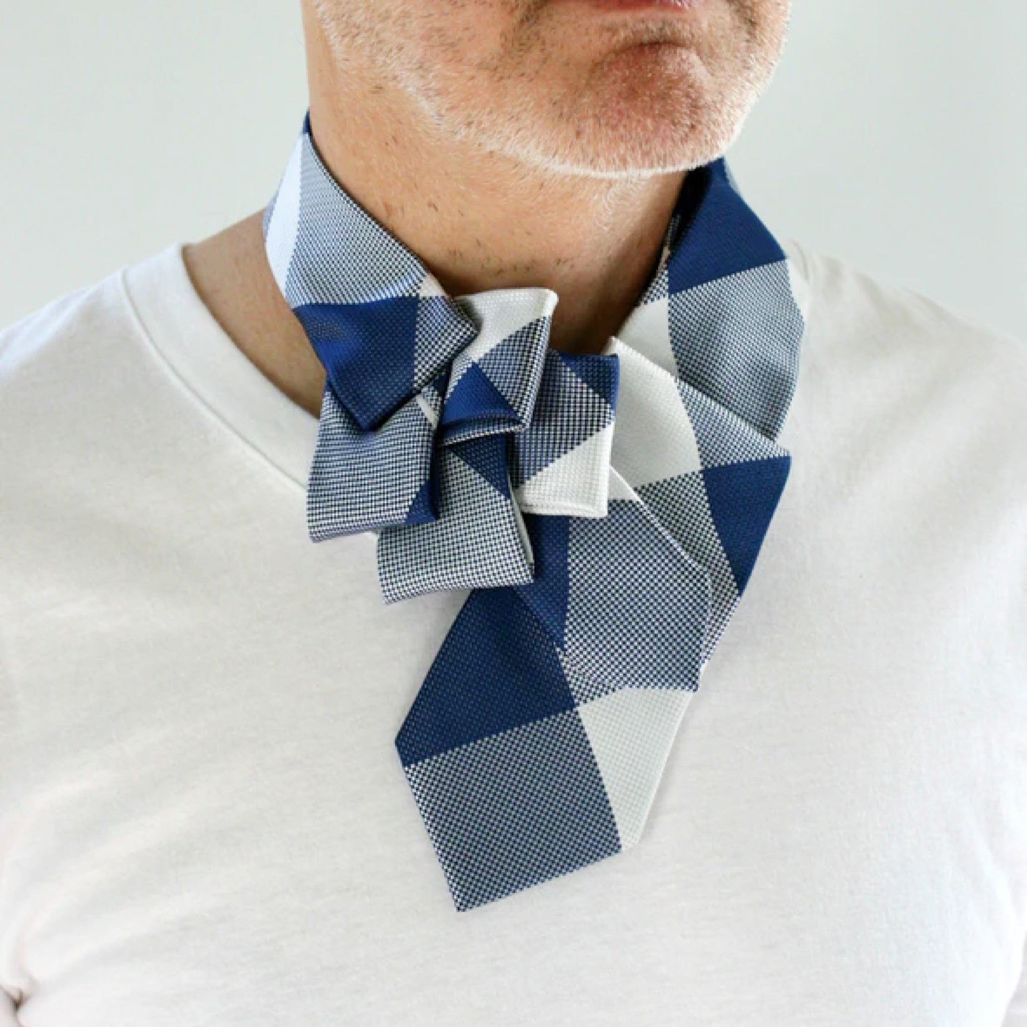 Men's Ascot With Blue Gingham Print