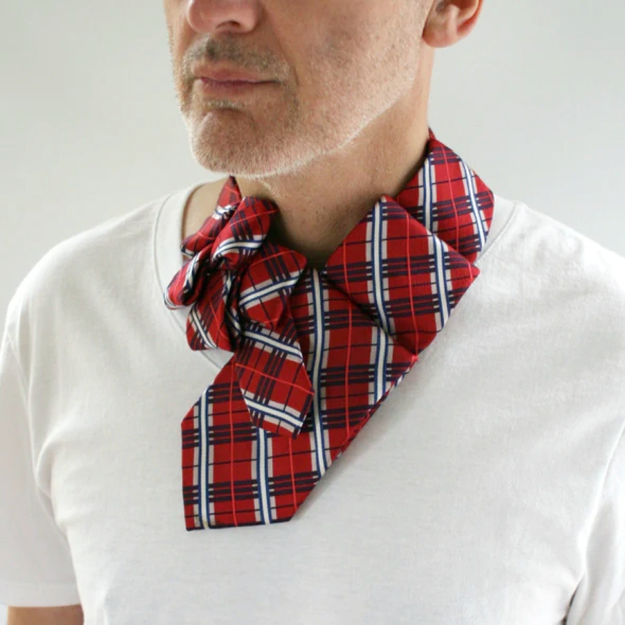 Men's Ascot In Vintage Red Plaid